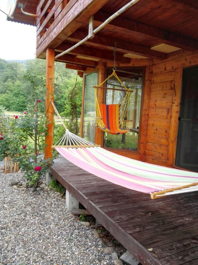 MoldoveneştiThe Wooden House别墅 外观 照片