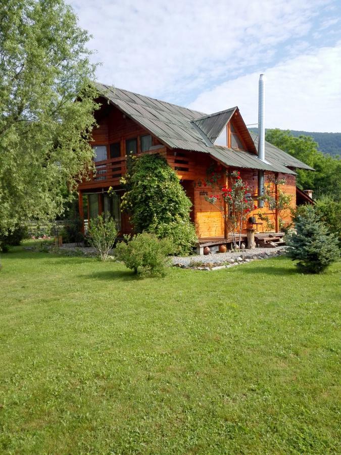 MoldoveneştiThe Wooden House别墅 外观 照片
