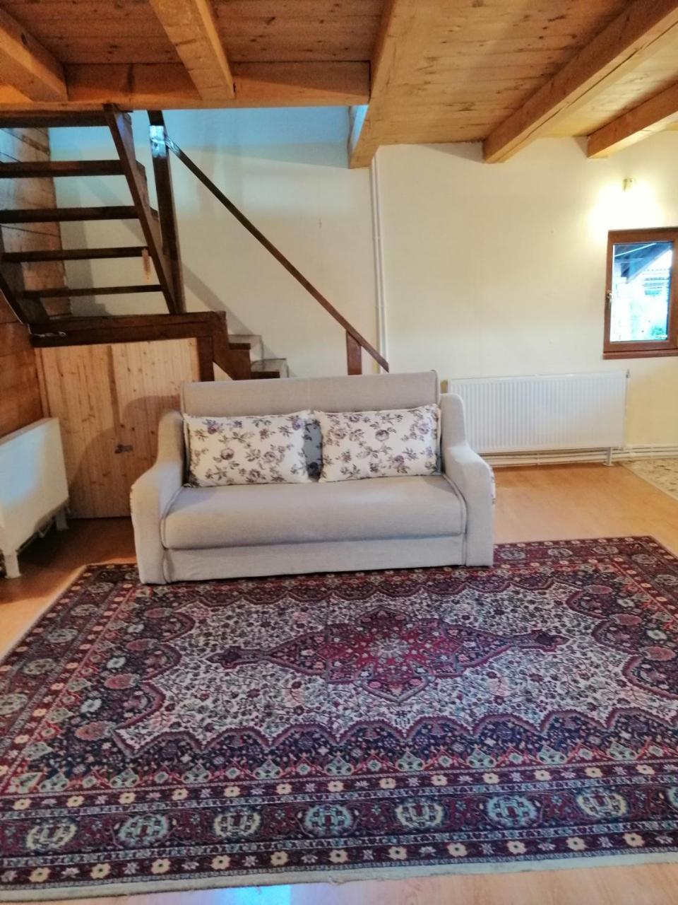 MoldoveneştiThe Wooden House别墅 外观 照片